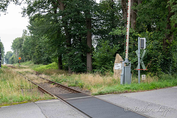 Sandstein Enthüllung KlR Strote