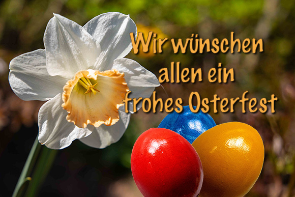 Osterwunsche NarzisseOstereier RE