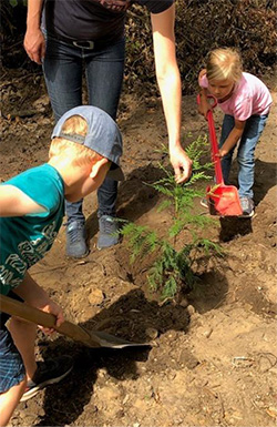 Kita StHeinrich Baumpflanzaktion Baum