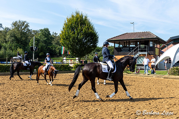 RFV Kreismeisterschaft 2024 BLippe Dressur