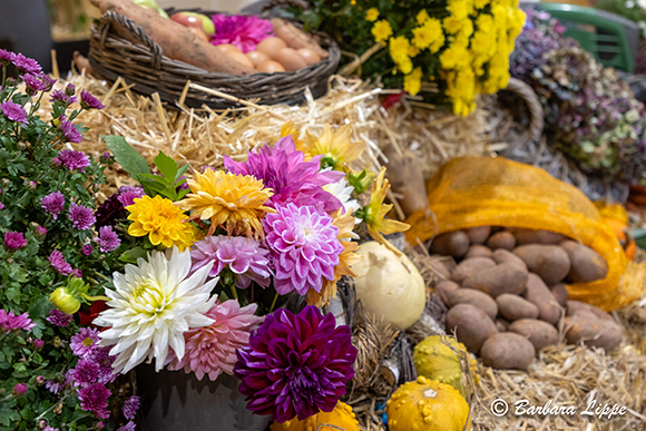 Erntedank 2024 BLippe Blumen