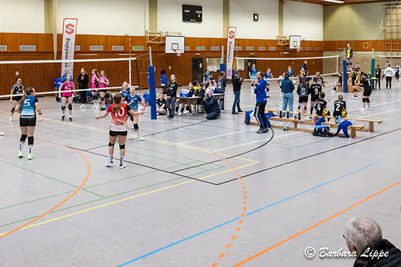 VC Turnier 2024 BLippe Halle