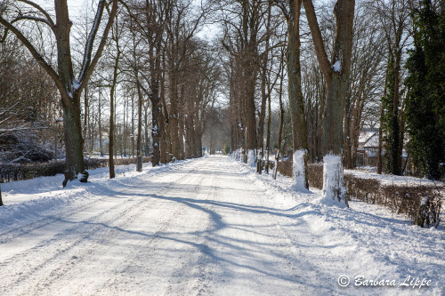 Reken im Winter-11