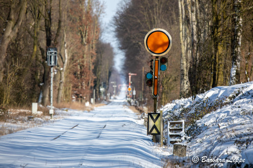 Reken im Winter-14