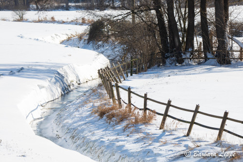 Reken im Winter-15