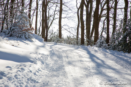 Reken im Winter-16