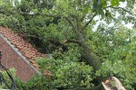 Sturmnacht in Reken