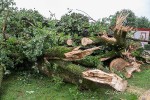Sturmnacht in Reken