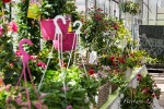 Trödelmarkt, Sommerblumen und Handwerkskunst im Benediktushof