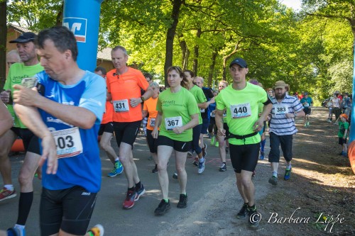 Volkslauf 201ß-14