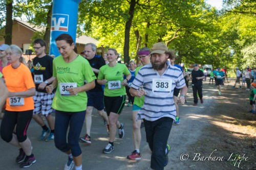 Volkslauf 201ß-15