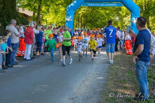 Volkslauf 201ß-27