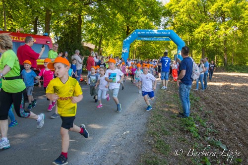 Volkslauf 201ß-28