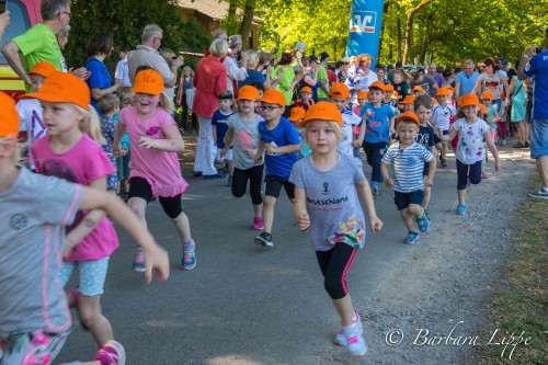 Volkslauf 201ß-31