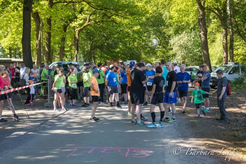 Volkslauf 201ß-7