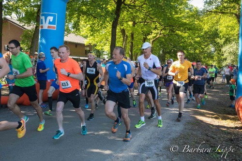 Volkslauf 201ß-9